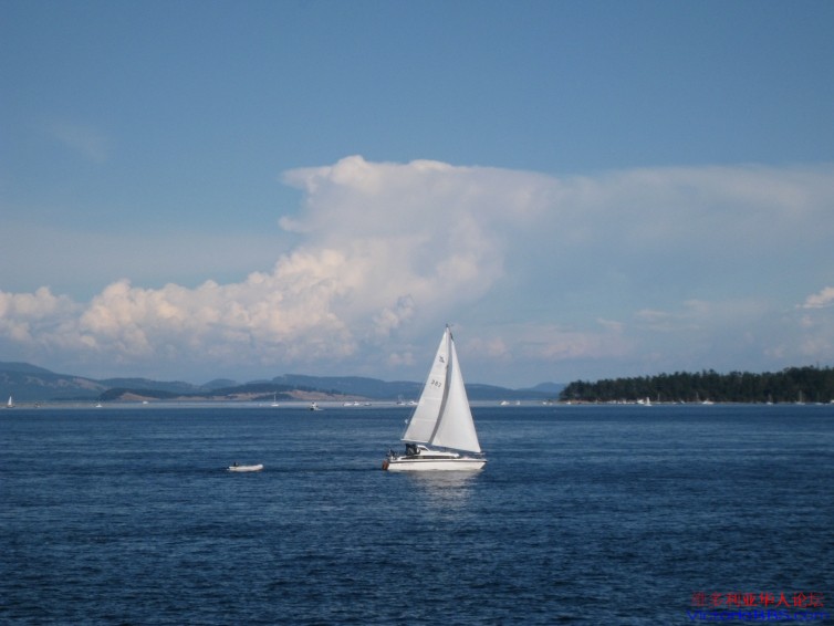 ��ĩ�� 255.jpg