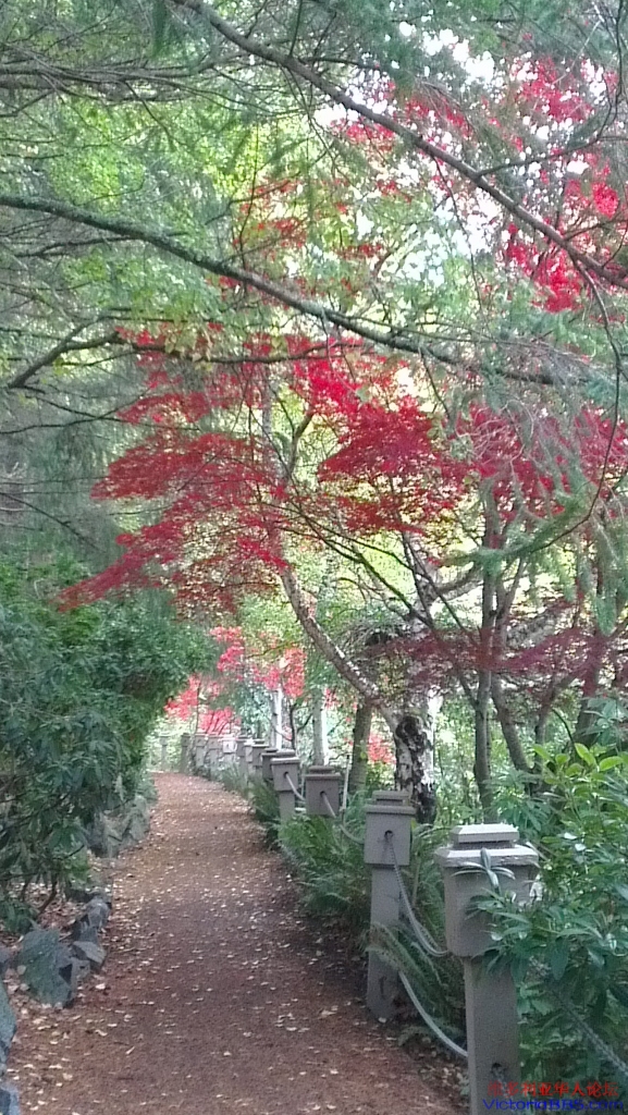 IMAG0848 (577x1024).jpg