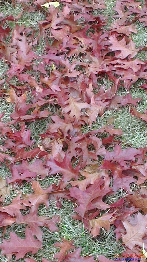 IMAG0834 (577x1024).jpg