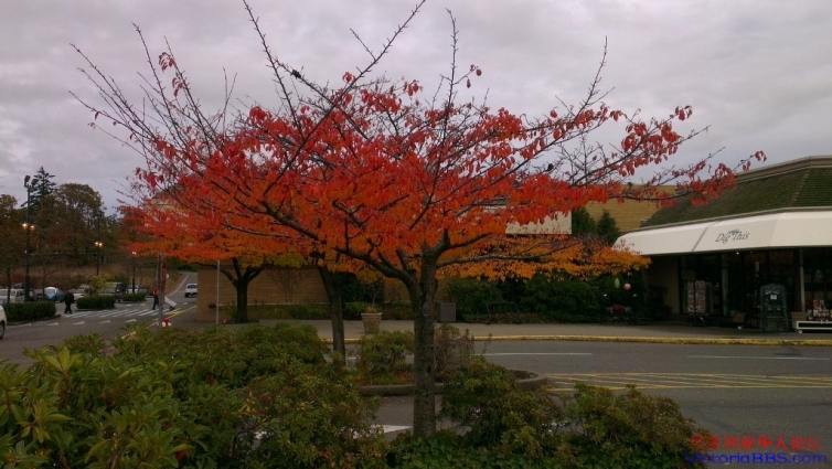 IMAG0881 (1024x577).jpg