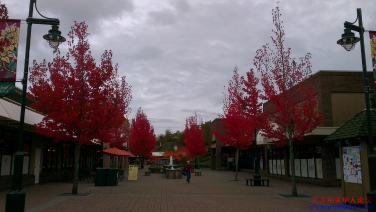 IMAG0909 (1024x577).jpg