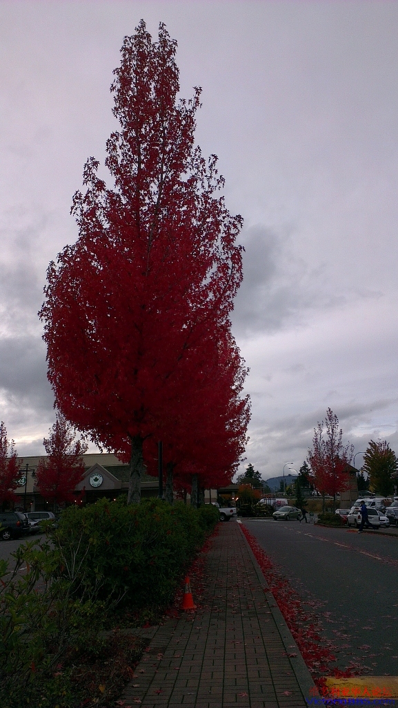 IMAG0856 (577x1024).jpg